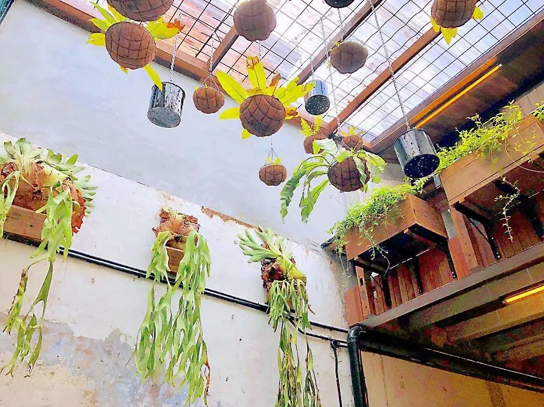 Rimba Jonker, Melaka Heritage Residance 0*, Malacca Malaysia
