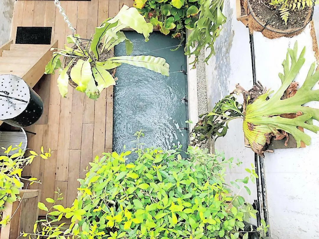 Villa Rimba Jonker, Melaka Heritage Residance Malaysia